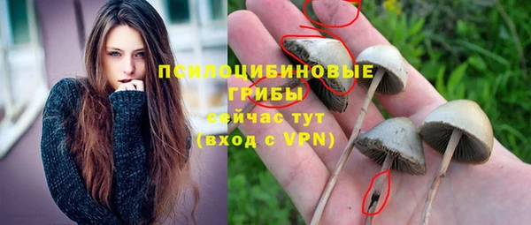 не бодяженный Абинск