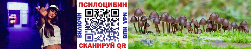 маркетплейс наркотические препараты  Сухой Лог  Псилоцибиновые грибы Magic Shrooms 